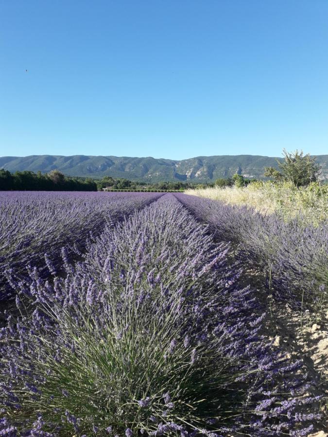 Gite Le Bagnol Un Coin De Paradis Maubec  外观 照片