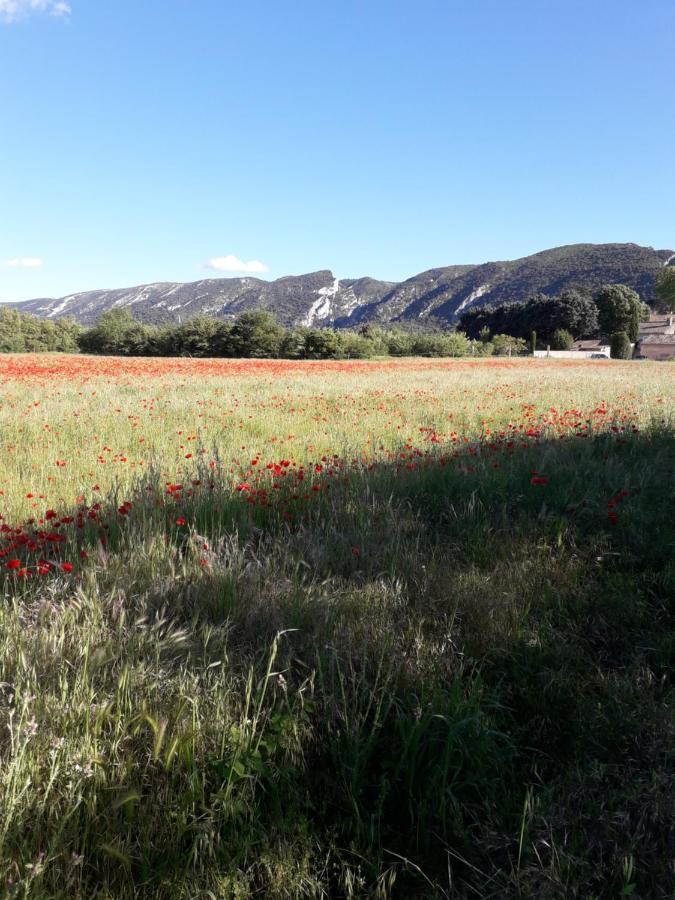 Gite Le Bagnol Un Coin De Paradis Maubec  外观 照片
