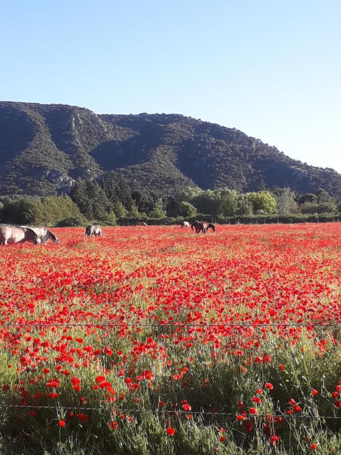Gite Le Bagnol Un Coin De Paradis Maubec  外观 照片